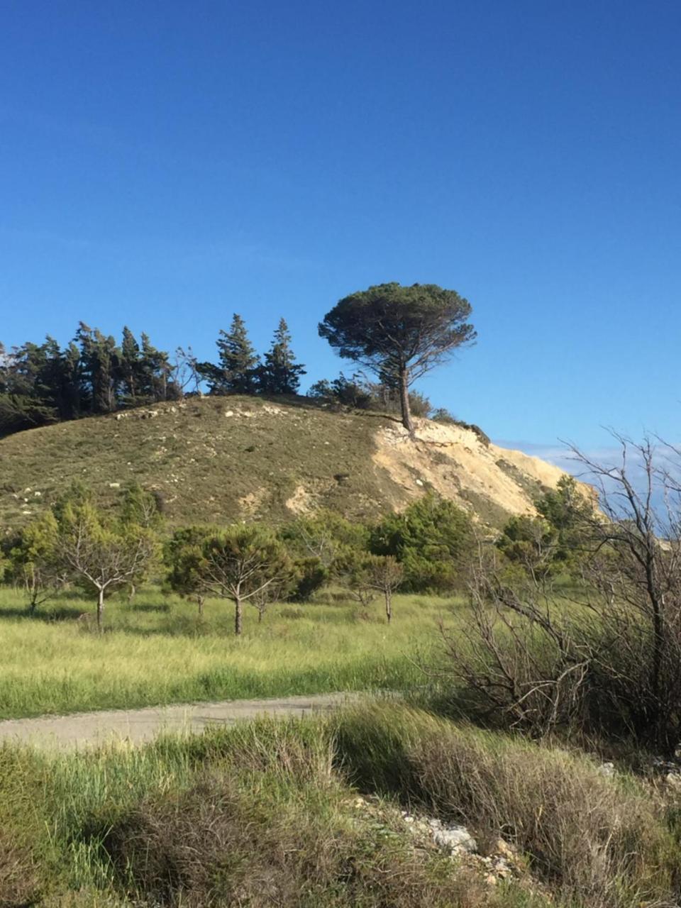 Le Flamant Rouge Guesthouse Peyriac-de-Mer Esterno foto